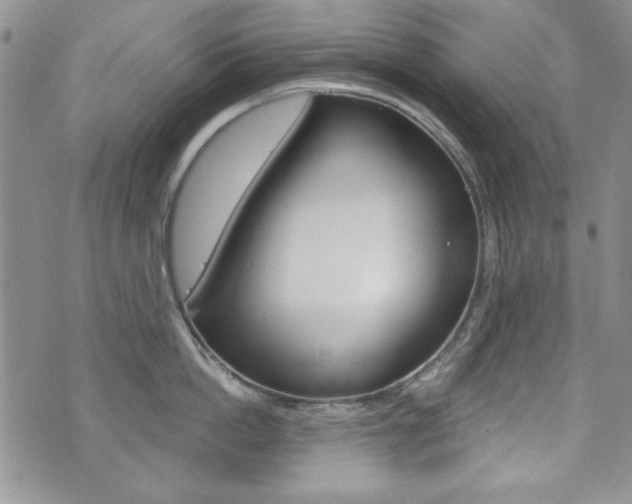 X0000076240862200609280921