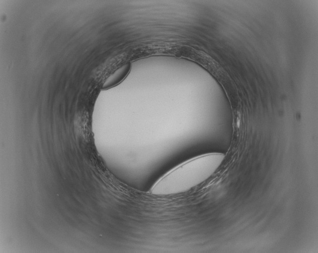 X0000076240867200609280920