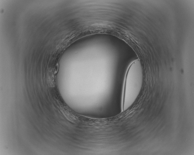 X0000076240868200609280920