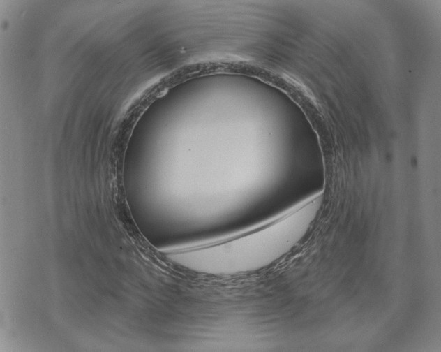 X0000076240872200609280920