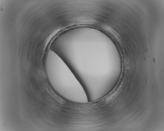 X0000076240875200609280920