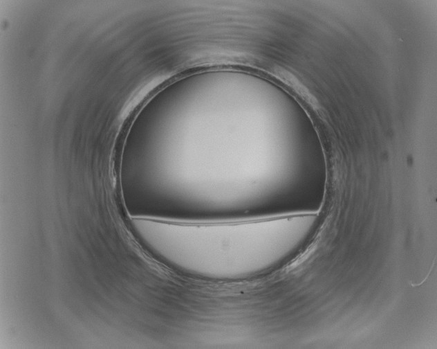 X0000076240885200609280920