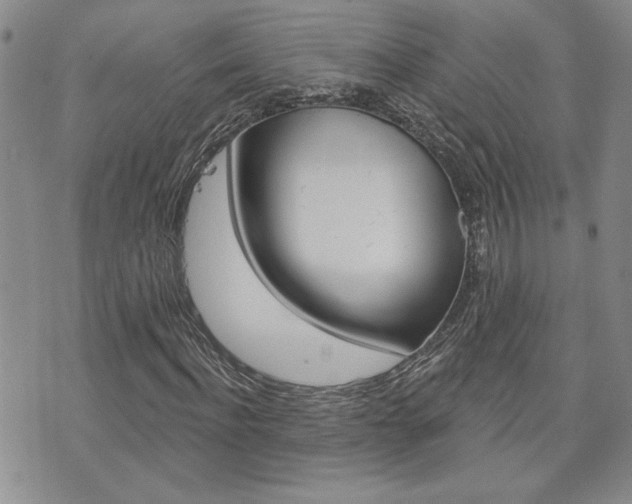 X0000076240916200609280918