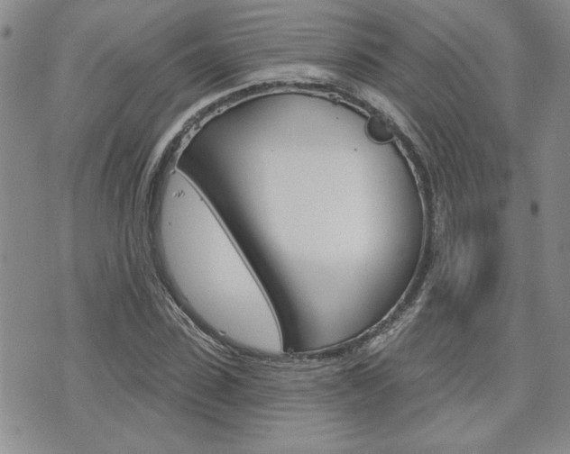 X0000076240923200609280919