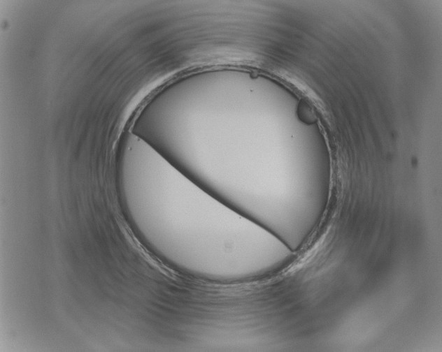 X0000076240933200609280919