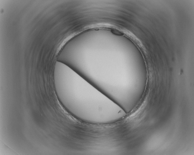 X0000076240945200609280919