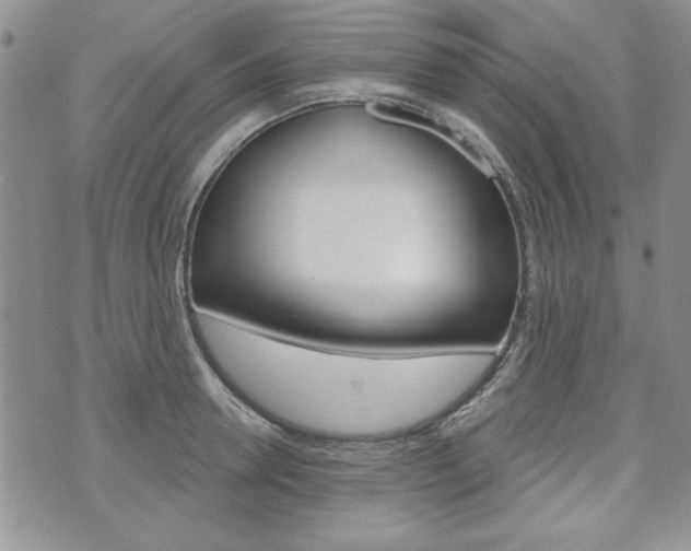 X0000076240946200609280919