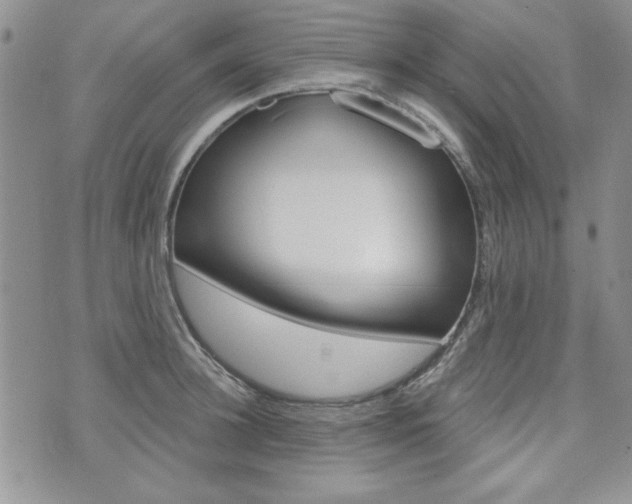 X0000076240948200609280919
