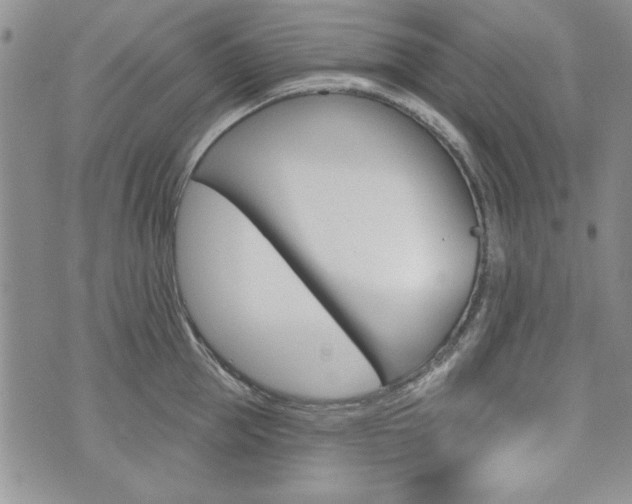 X0000076240953200609280919
