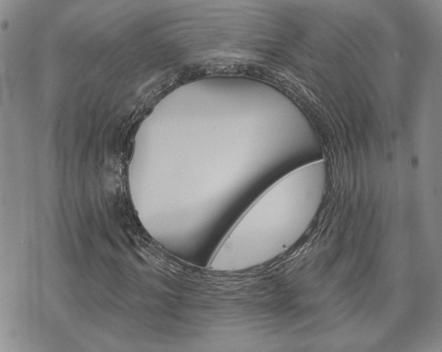 X0000076240964200609280918