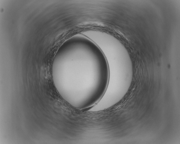 X0000076240965200609280918