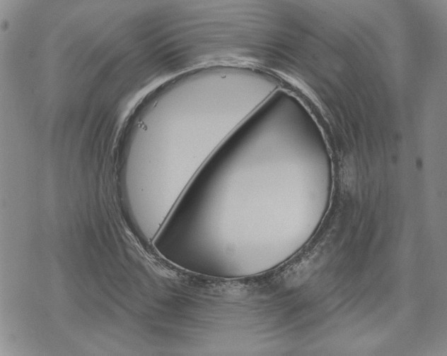 X0000076240971200609280918