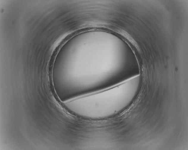 X0000076240972200609280918