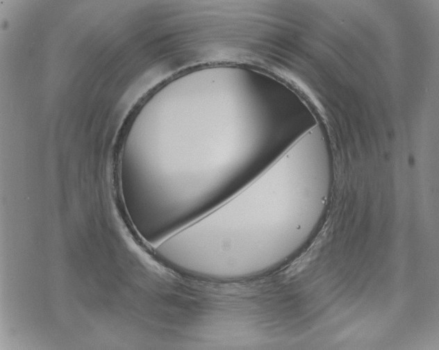 X0000076240991200609280918
