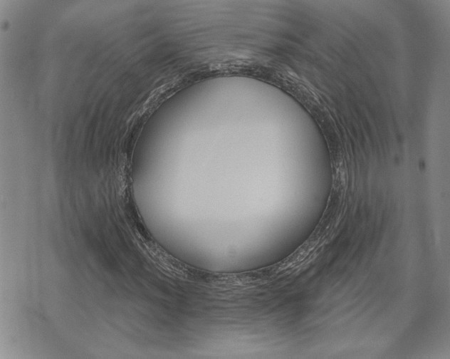 X0000076241012200609280917