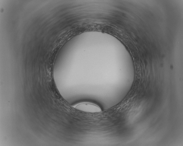 X0000076241013200609280917