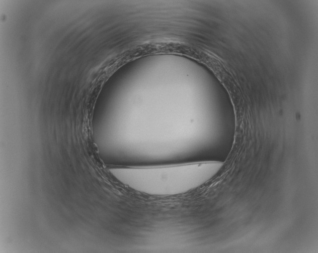 X0000076241014200609280917
