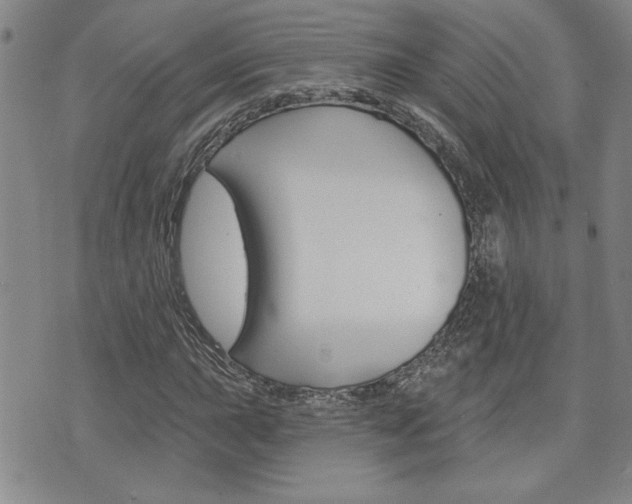 X0000076241015200609280917