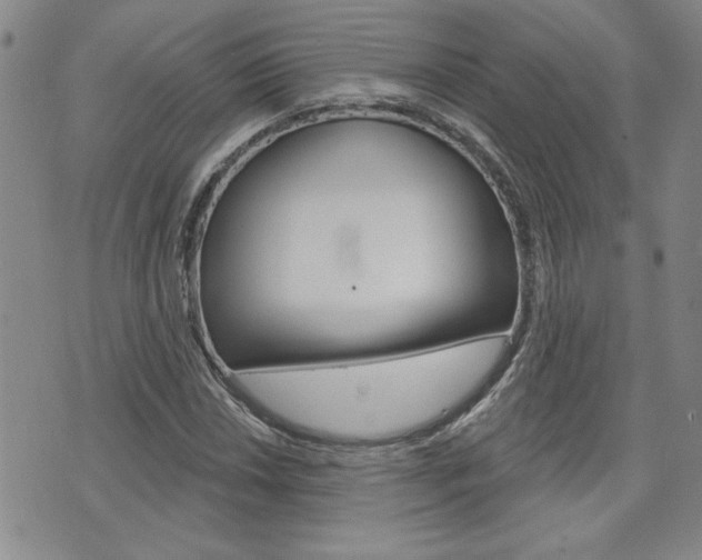 X0000076241018200609280917