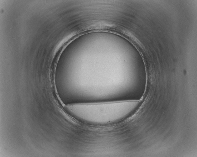 X0000076241026200609280917