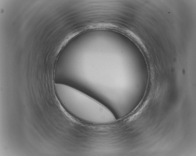 X0000076241041200609280917