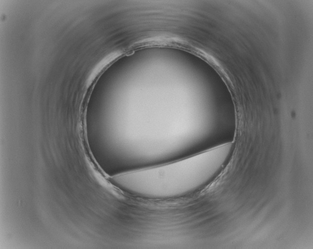 X0000076241042200609280917