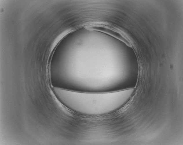 X0000076241050200609280918