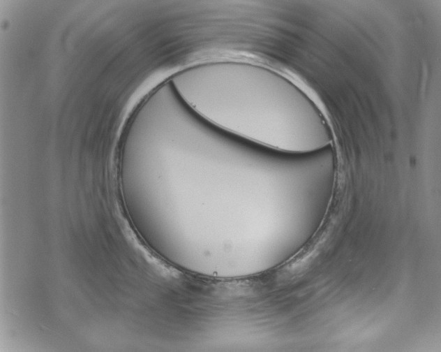 X0000076241053200609280918