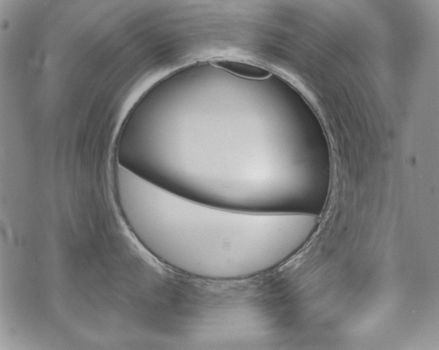 X0000076241056200609280918