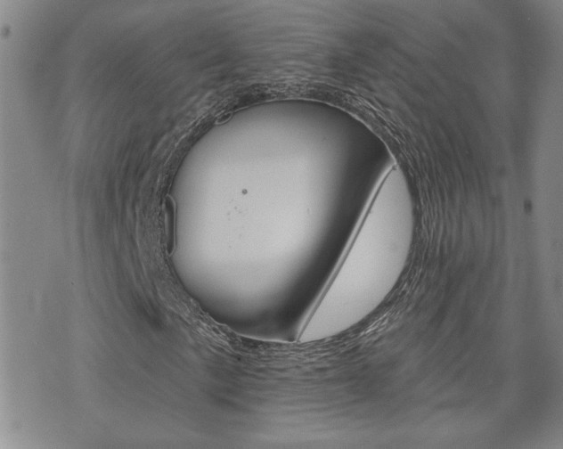 X0000076241057200609280917