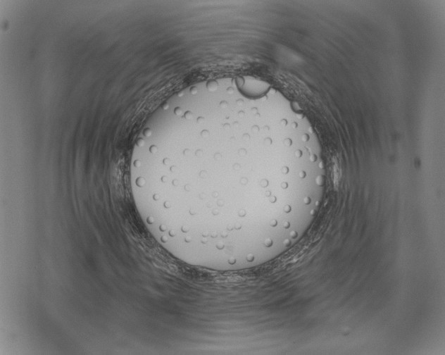 X0000076241059200609280917