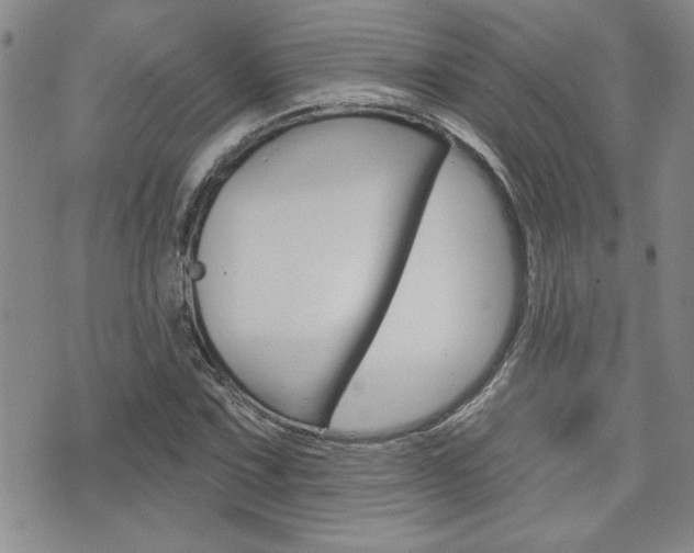 X0000076241067200609280917