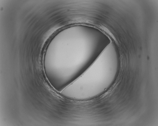 X0000076241068200609280917