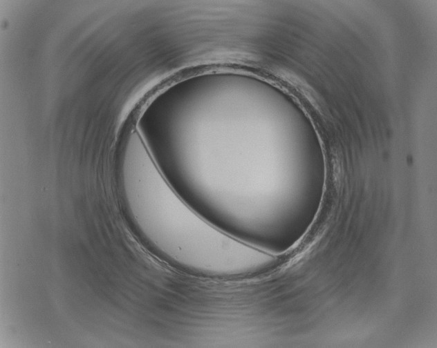 X0000076241069200609280917