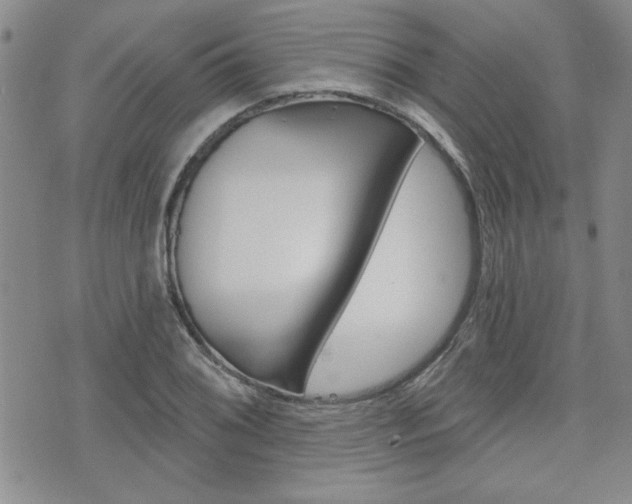 X0000076241076200609280917