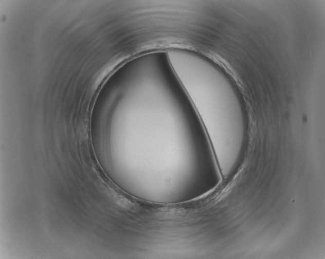 X0000076241081200609280916