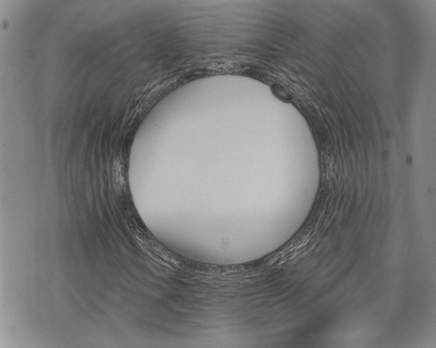 X0000076241106200609280915