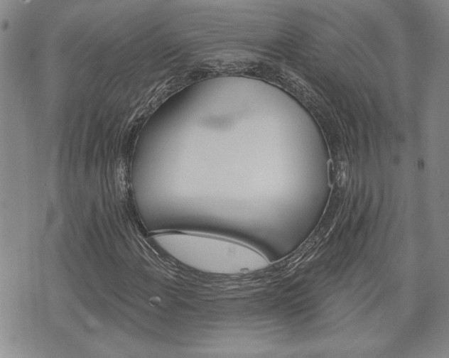 X0000076241108200609280915
