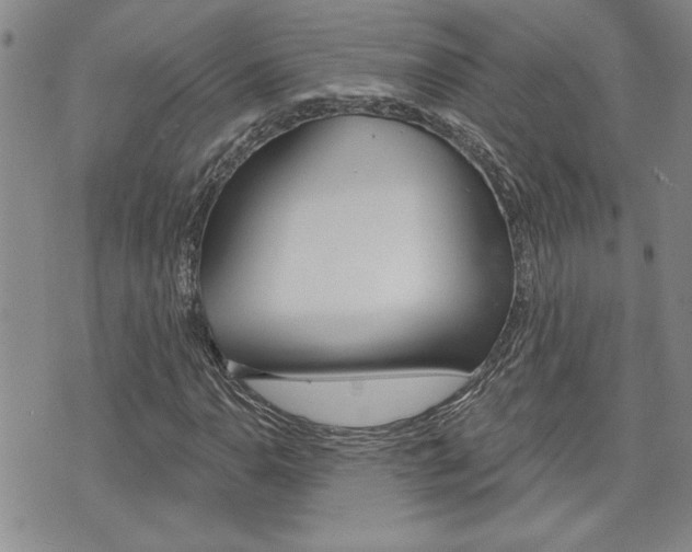 X0000076241110200609280915