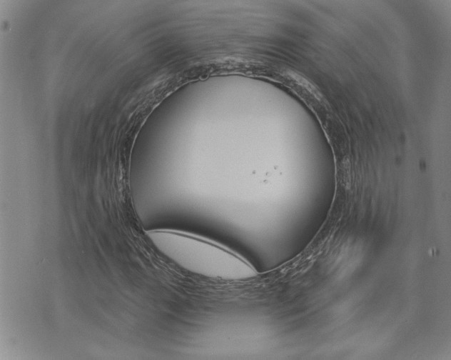 X0000076241111200609280915