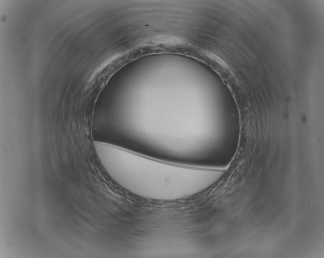 X0000076241112200609280915