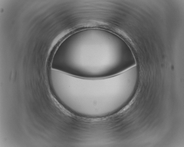 X0000076241122200609280916
