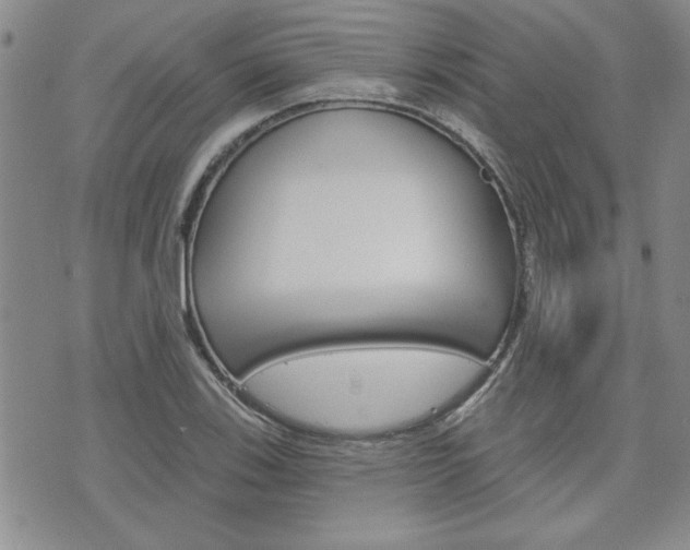 X0000076241123200609280916