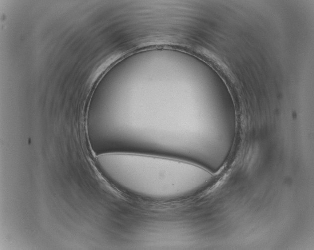 X0000076241129200609280916