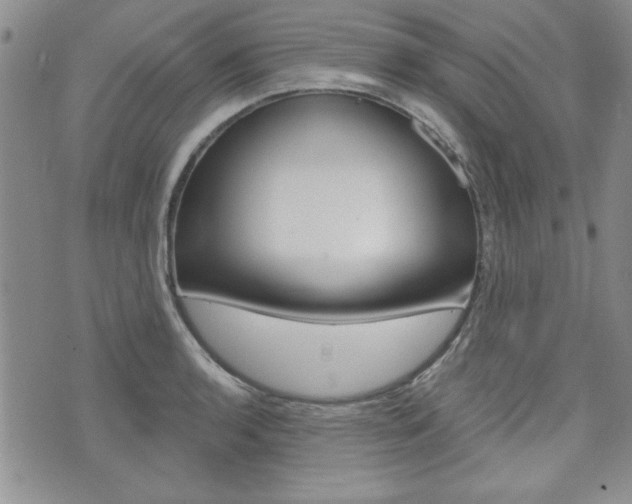 X0000076241136200609280916