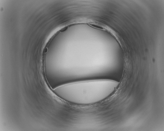X0000076241147200609280916