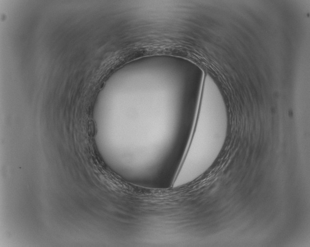 X0000076241153200609280915