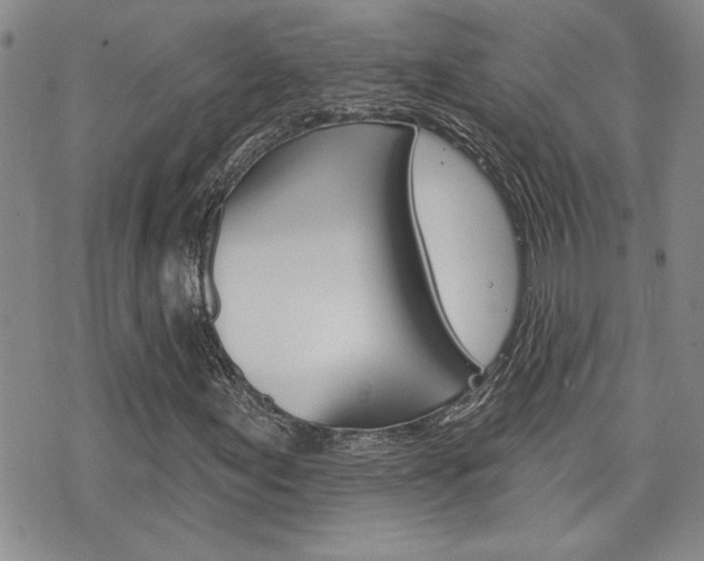 X0000076241155200609280915
