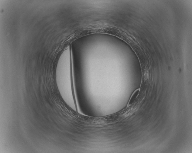 X0000076241156200609280915