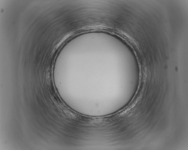 X0000076241162200609280915